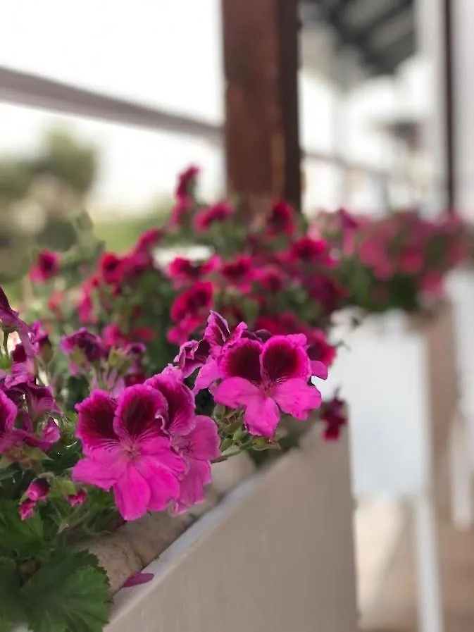 Geranium Apartments Ksamil Albania
