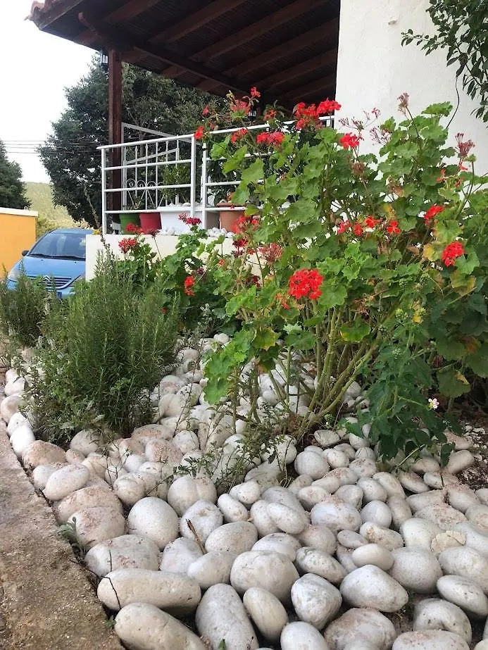 Geranium Apartments Ksamil 0*,